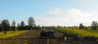 Rural Development Project