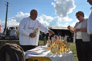 Sălăjean Village project 